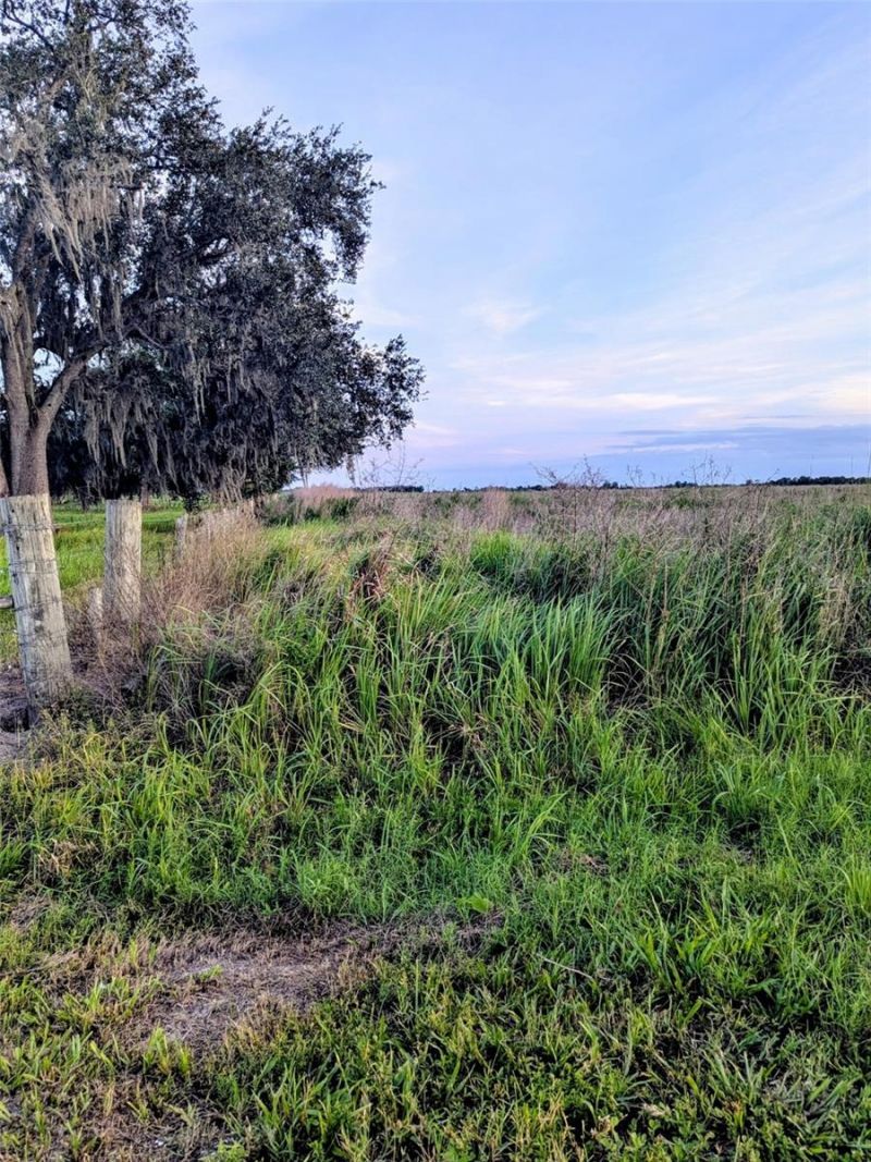 Tom Bryan Rd, Zolfo Springs, FL 33890 Photo