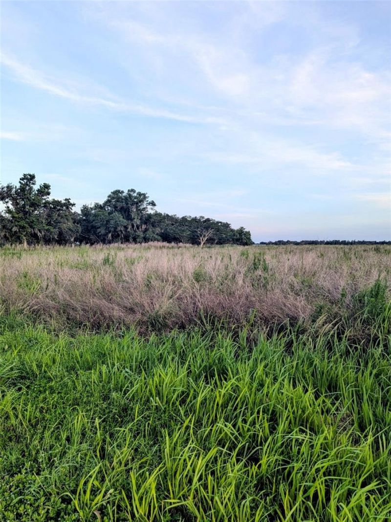 Tom Bryan Rd, Zolfo Springs, FL 33890 Photo