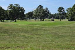 1501 Deercreek Drive photo 4