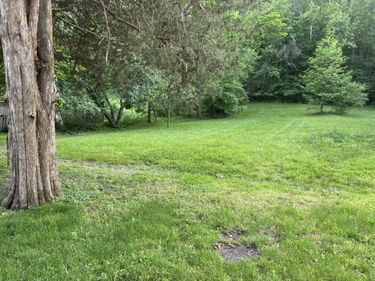 443 N Wilson Avenue, Morehead, KY 40351