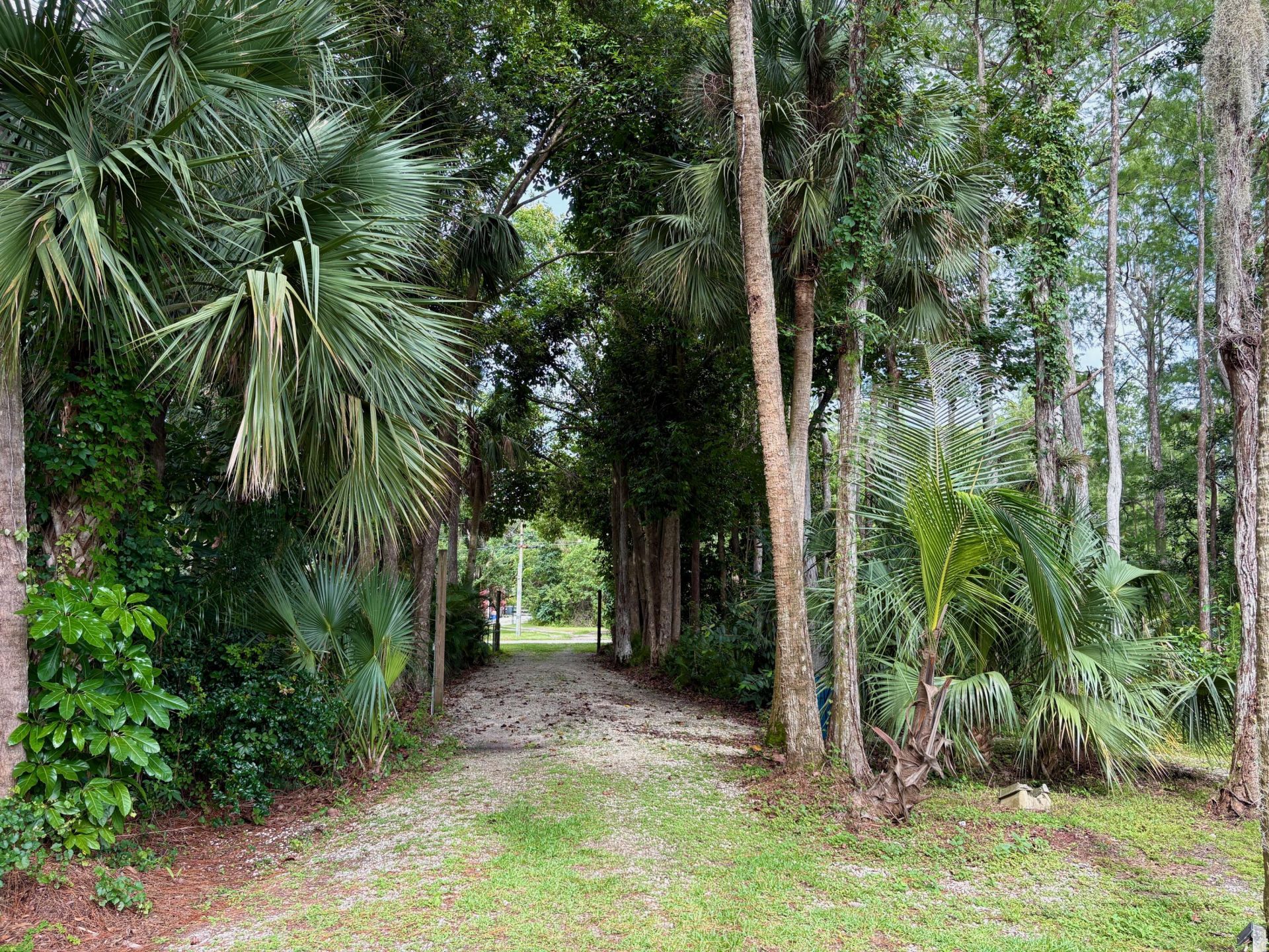16789 N 98th Way Way N, Jupiter Farms, FL 33478 Photo