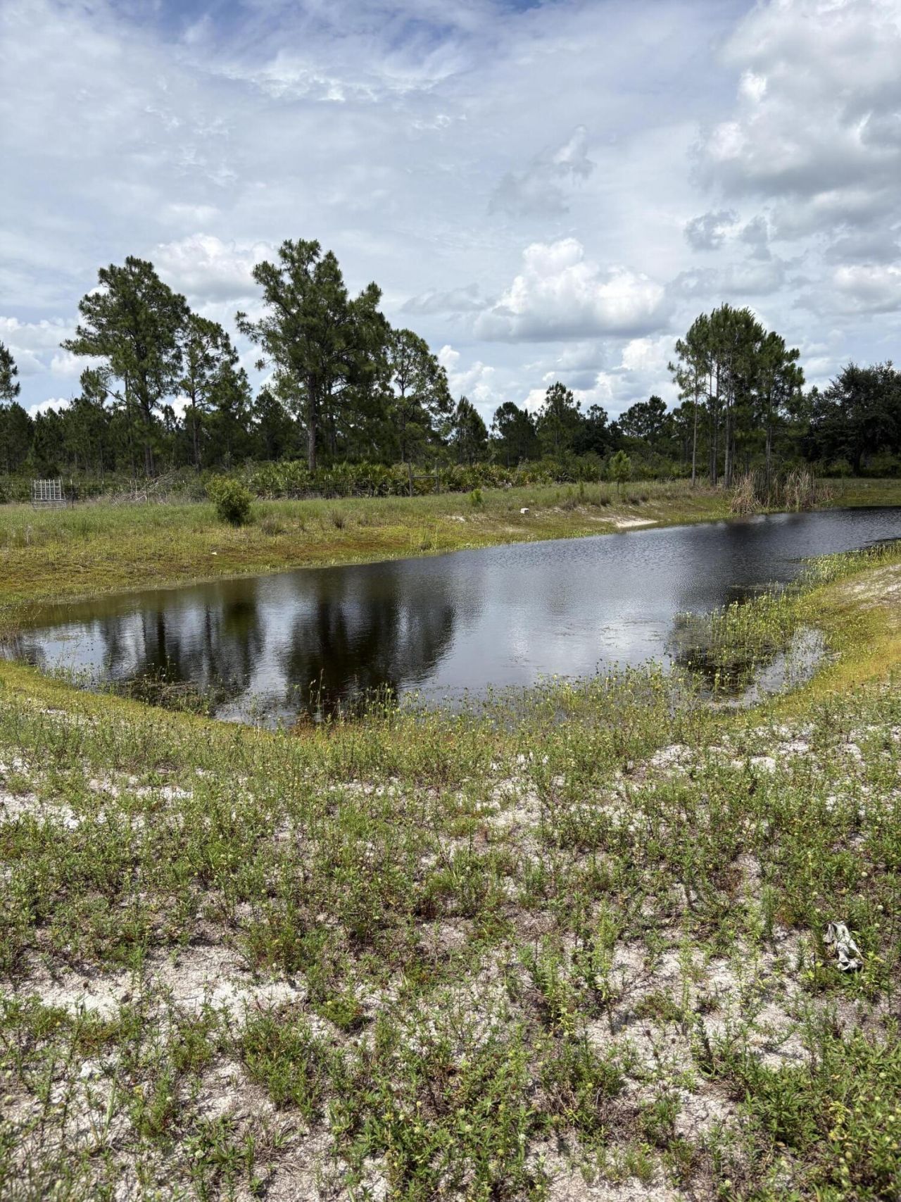 2872 Secretariat Drive, Labelle, FL 33935 Photo