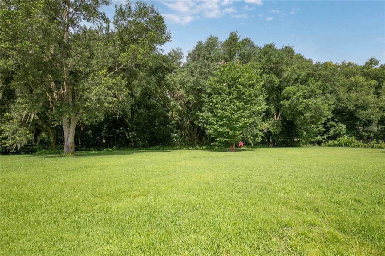 22733 Stallion Drive , Sorrento, FL 32776 Photo