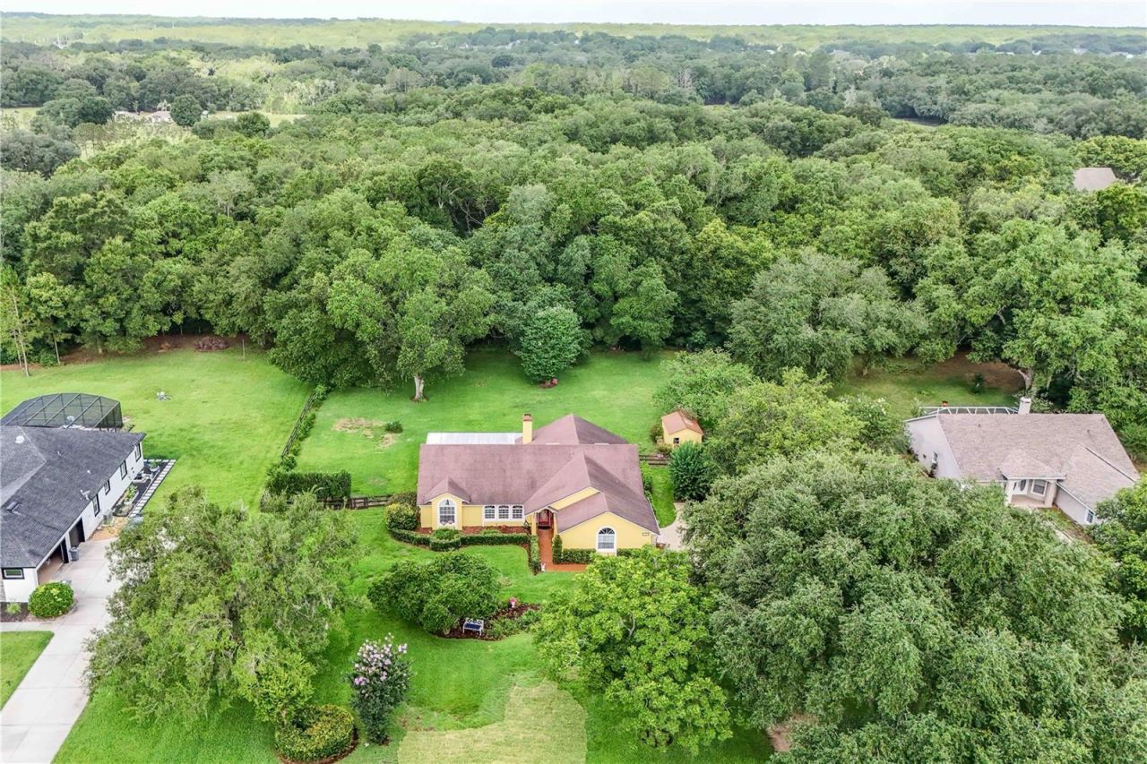 22733 Stallion Drive , Sorrento, FL 32776 Photo