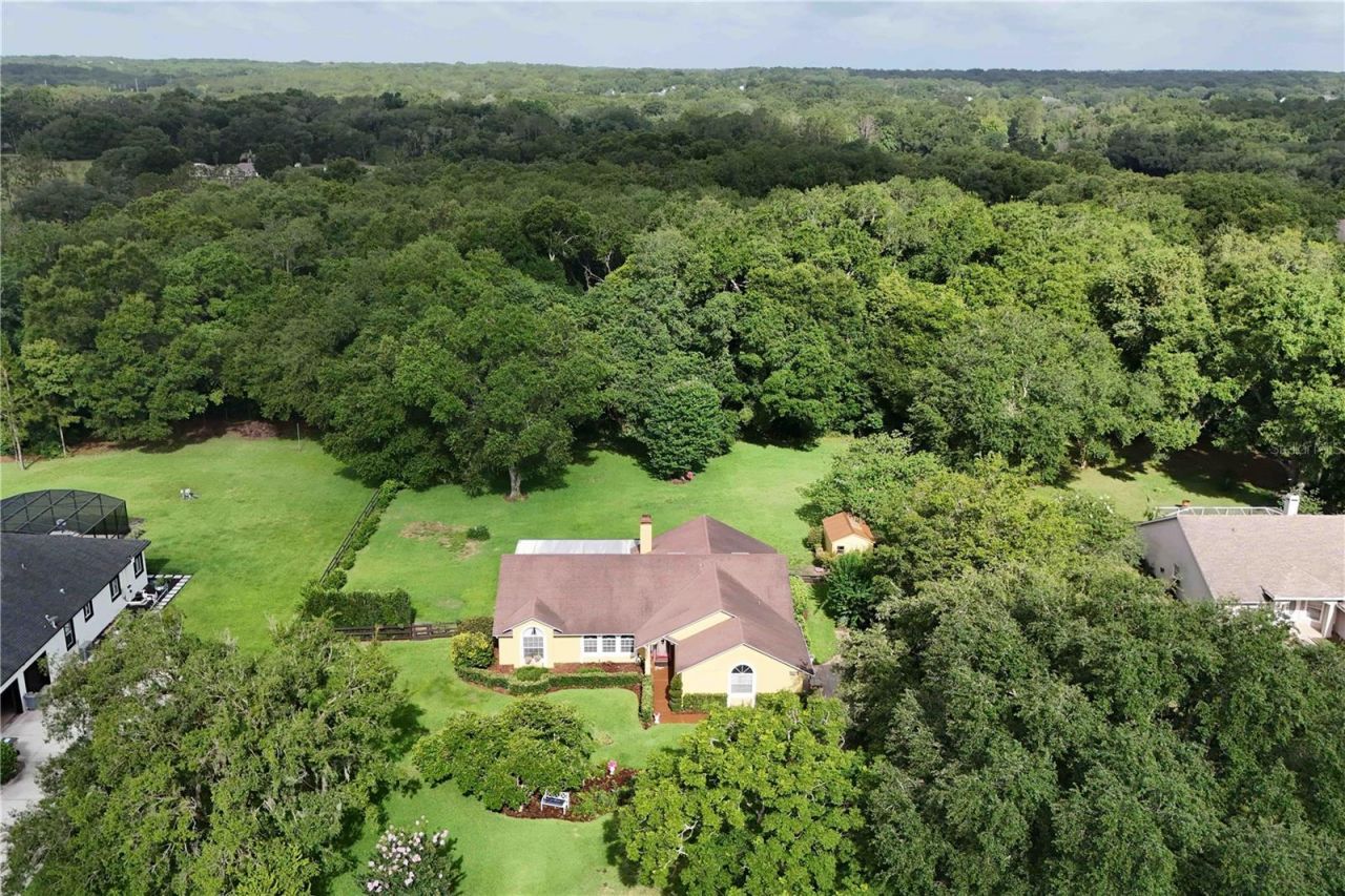 22733 Stallion Drive , Sorrento, FL 32776 Photo