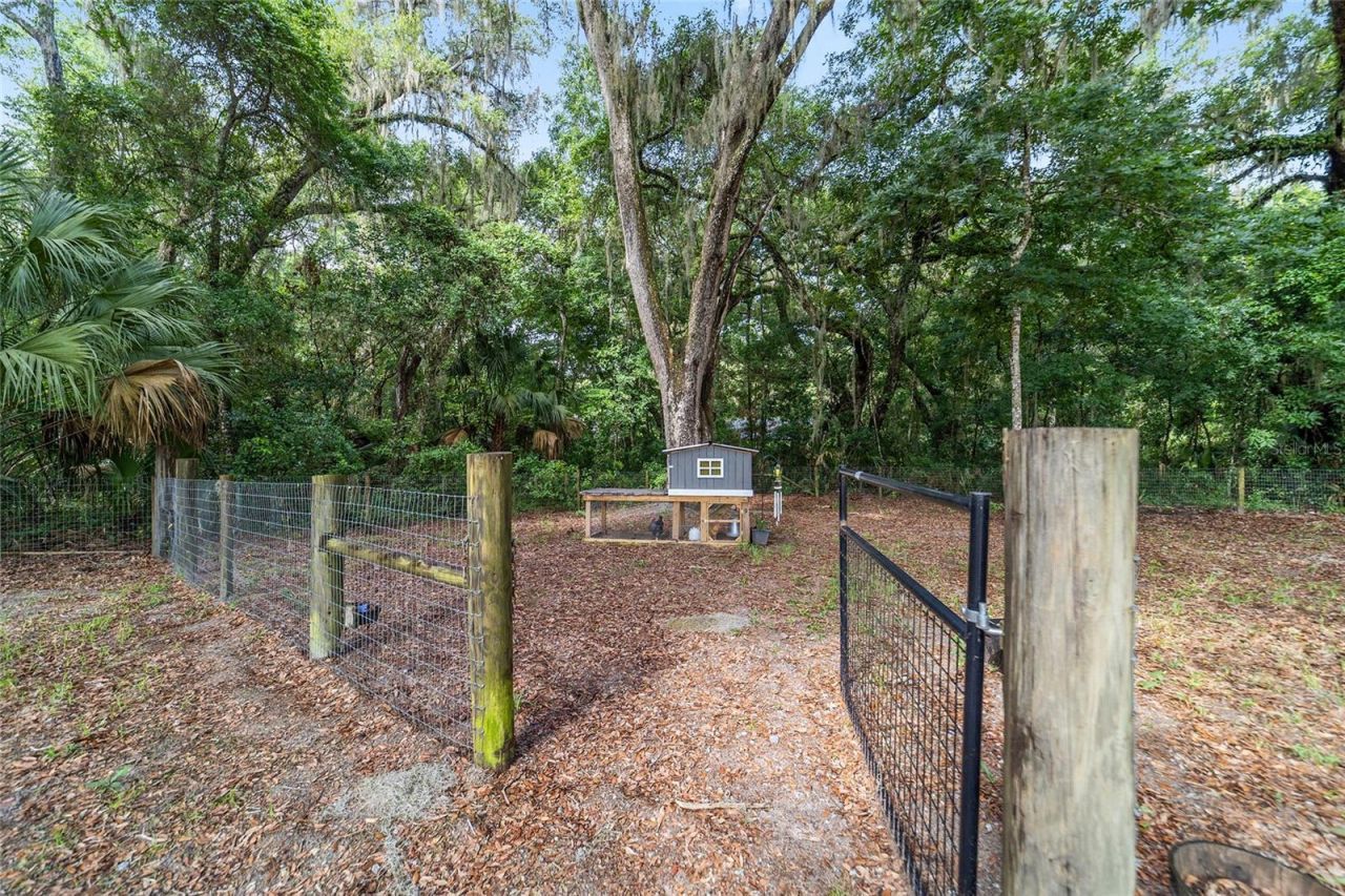 14366 NE 42nd Terrace, Anthony, FL 32617 Photo
