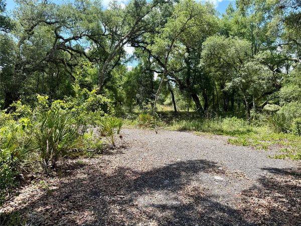 LONG CIRCLE , WEBSTER, FL 33597