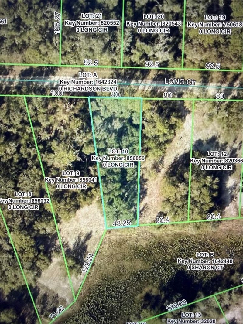 Long Circle , Webster, FL 33597 Photo