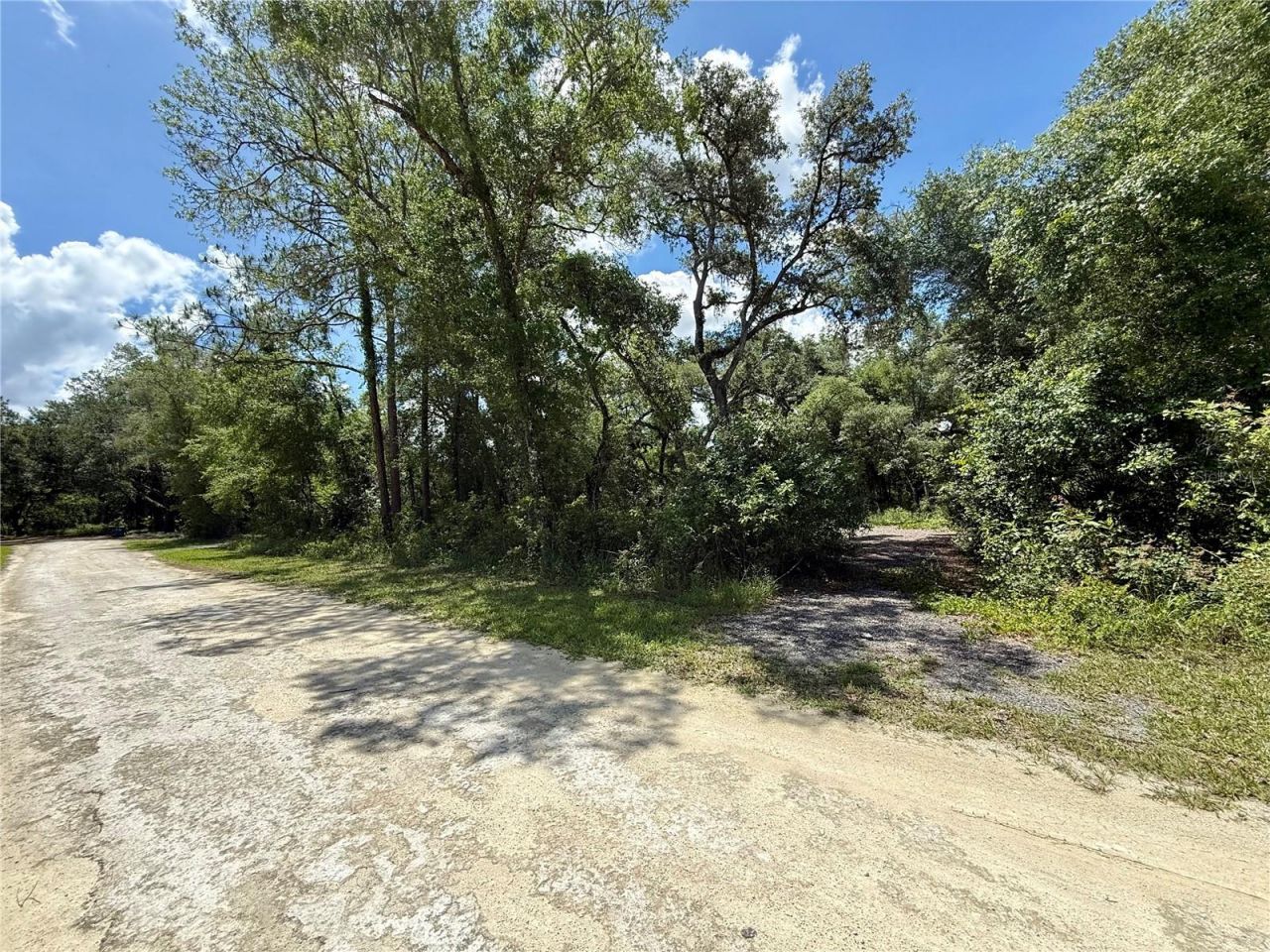 Long Circle , Webster, FL 33597 Photo