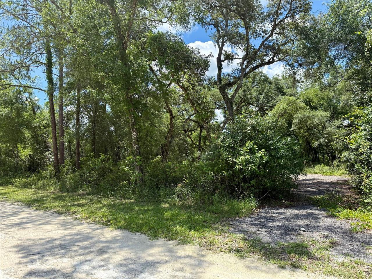 Long Circle , Webster, FL 33597 Photo