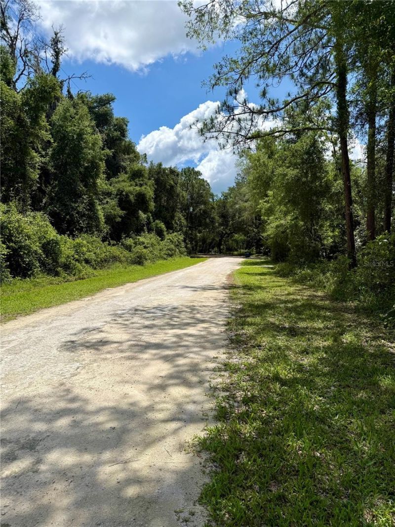 Long Circle , Webster, FL 33597 Photo