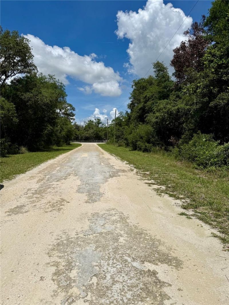 Long Circle , Webster, FL 33597 Photo