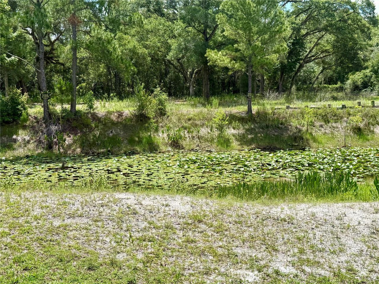 Long Circle , Webster, FL 33597 Photo