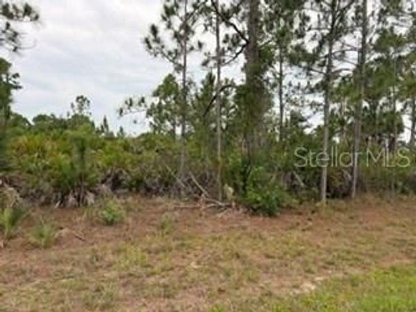 12141 MC ELROY AVENUE , PORT CHARLOTTE, FL 33981