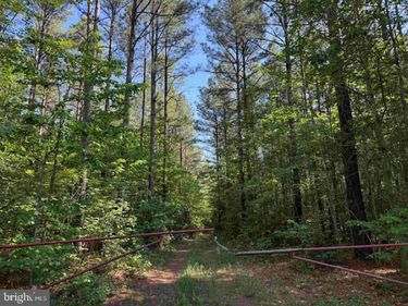 BRANDY CREEK ROAD (TRACT: THE FAMILY TREE) , LAWRENCEVILLE, VA 23868