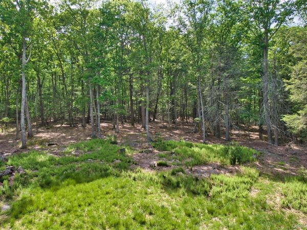 Jersey Road , Wurtsboro, NY 12790