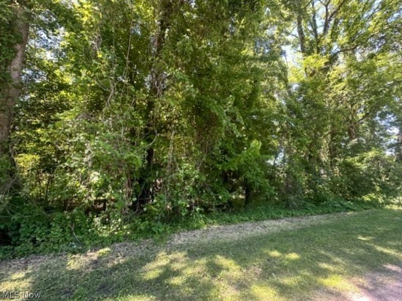 N Ridge Road, Madison, OH 44057 Photo 5
