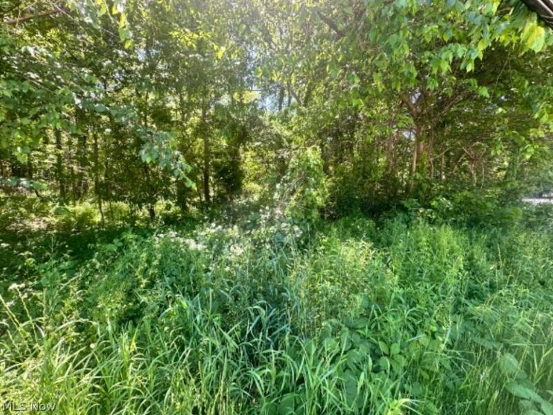 N Ridge Road, Madison, OH 44057 Photo 6