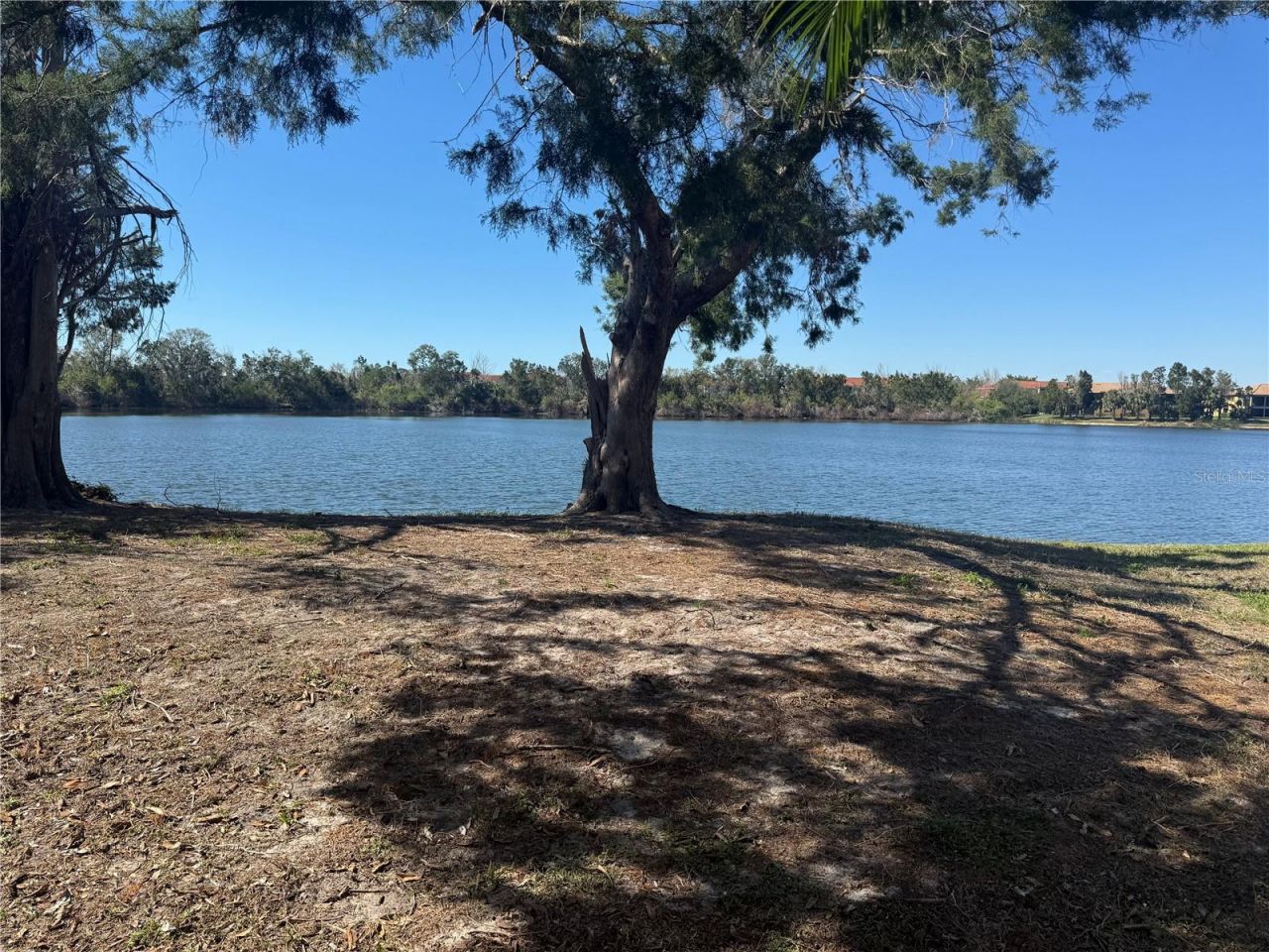 250 Cape Harbour Loop, Unit 106, Bradenton, FL 34212 Photo