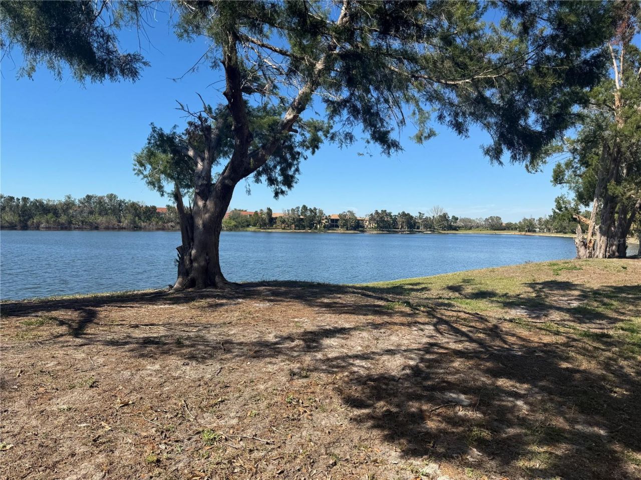 250 Cape Harbour Loop, Unit 106, Bradenton, FL 34212 Photo