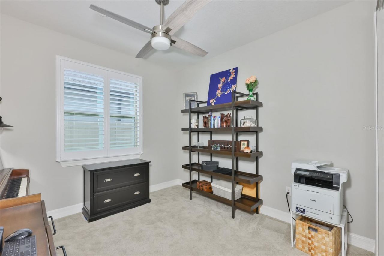 18824 Alder Glen Drive, Lutz, FL 33558 Photo