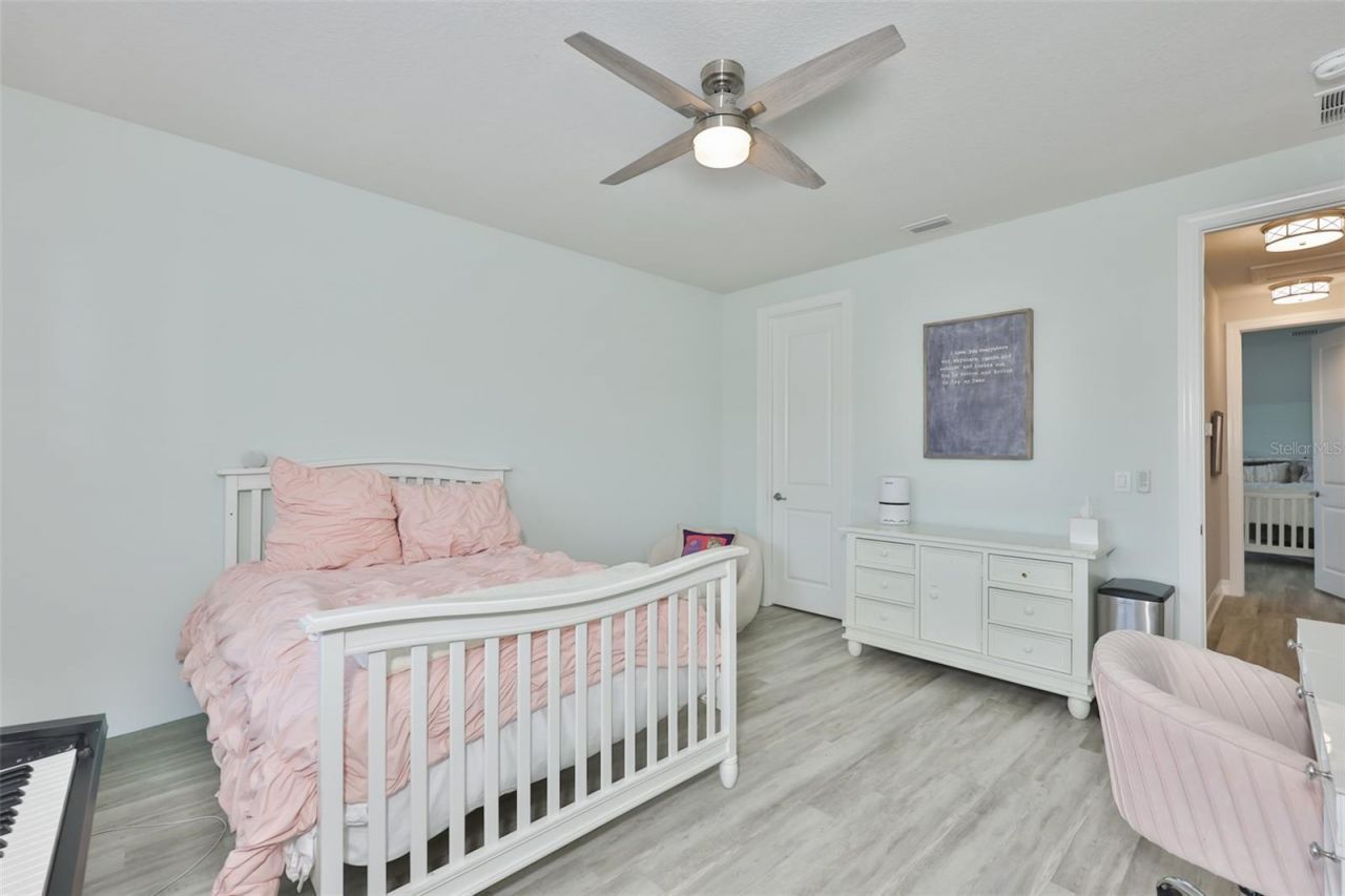 18824 Alder Glen Drive, Lutz, FL 33558 Photo