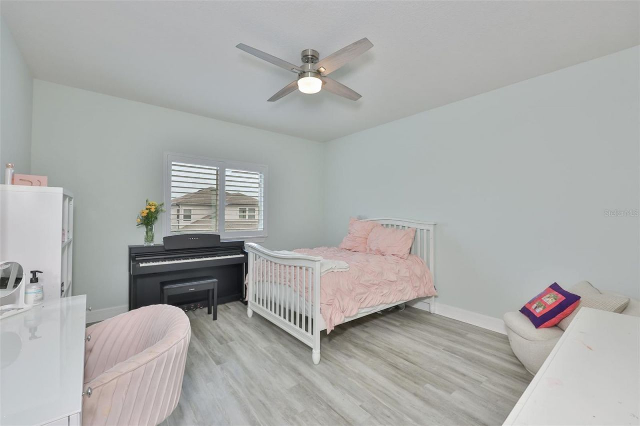 18824 Alder Glen Drive, Lutz, FL 33558 Photo