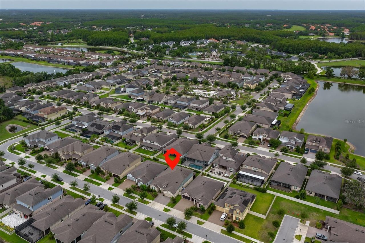18824 Alder Glen Drive, Lutz, FL 33558 Photo