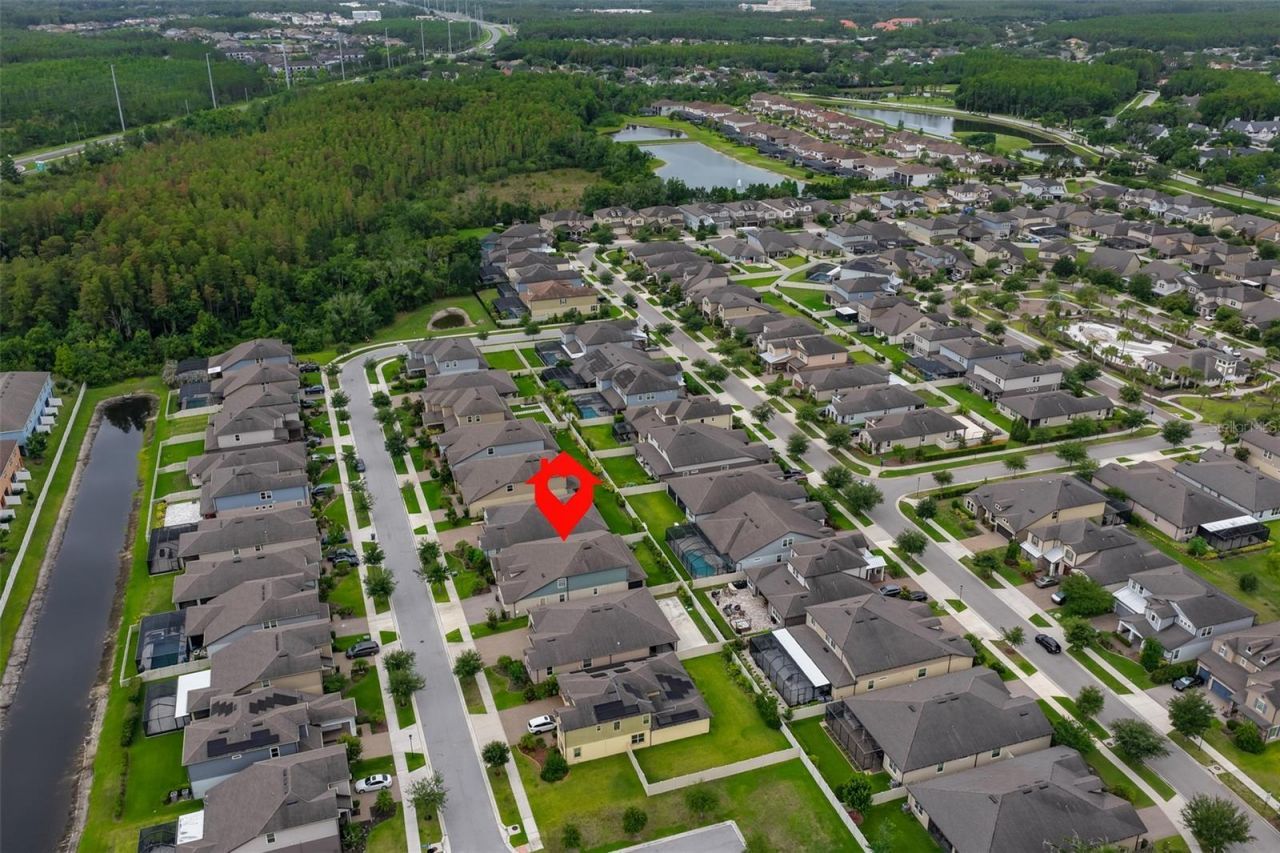 18824 Alder Glen Drive, Lutz, FL 33558 Photo