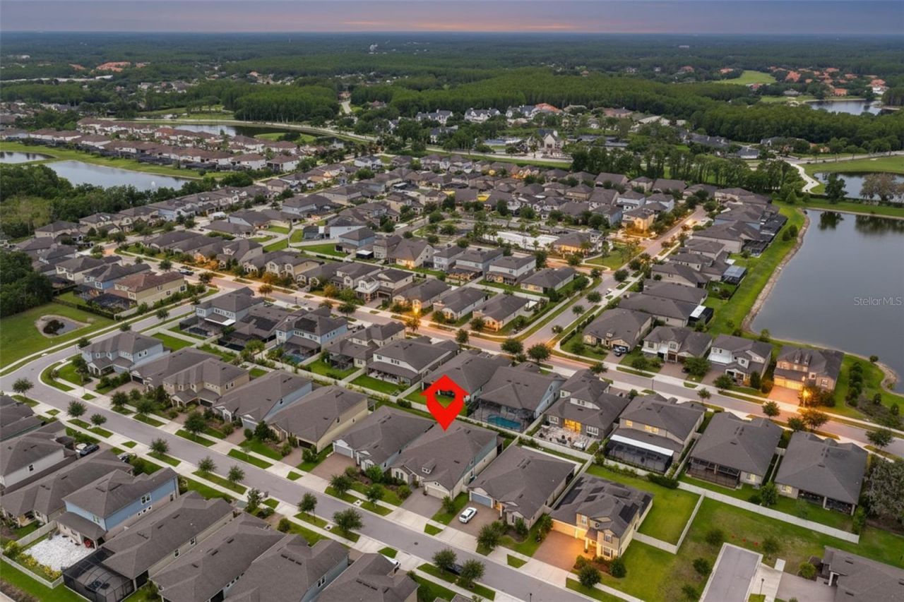 18824 Alder Glen Drive, Lutz, FL 33558 Photo