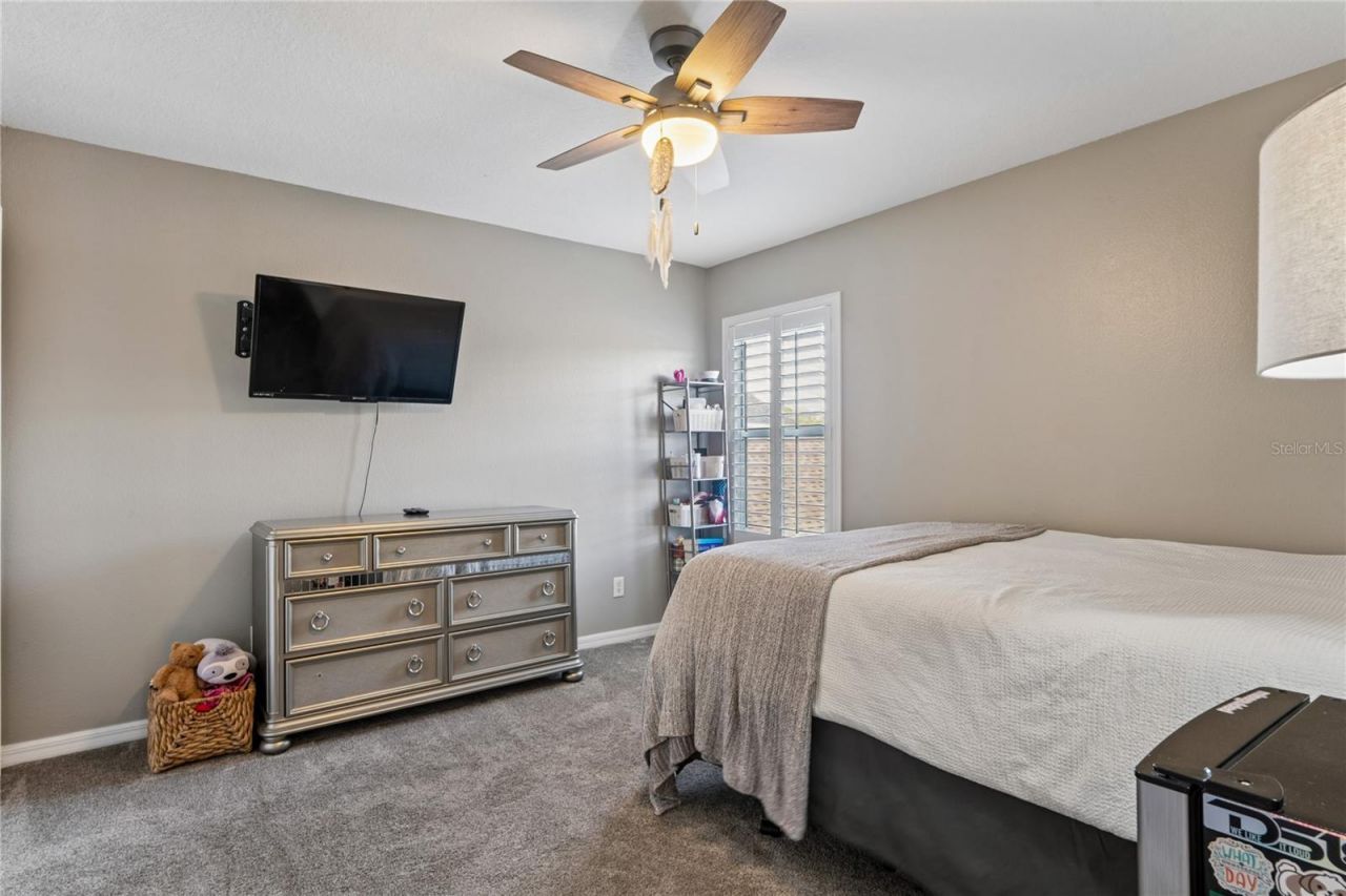 3546 Ferrell Street, New Port Richey, FL 34655 Photo