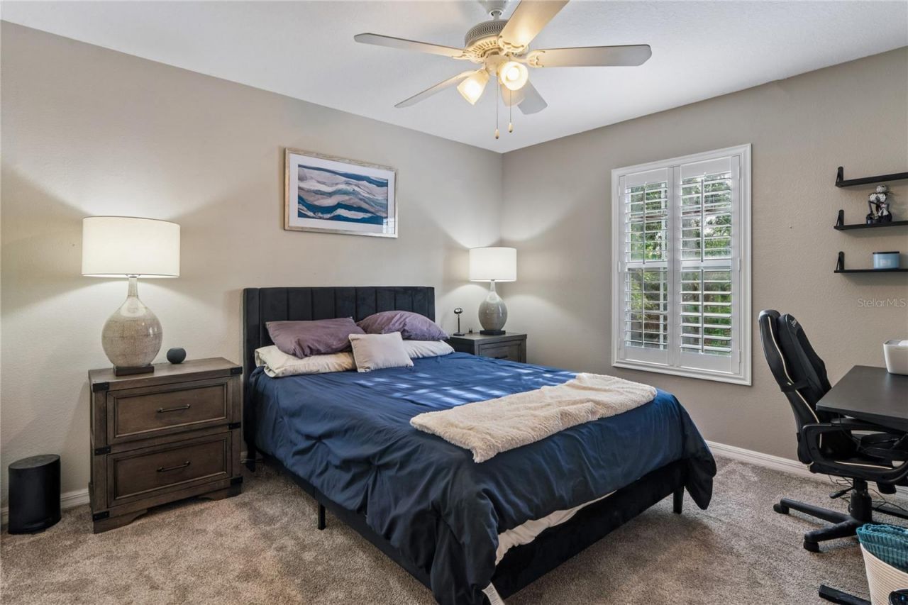 3546 Ferrell Street, New Port Richey, FL 34655 Photo