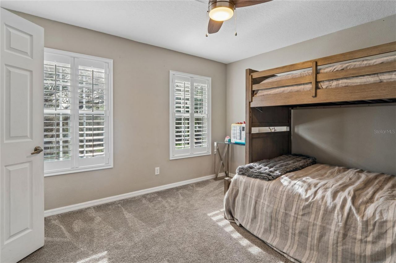 3546 Ferrell Street, New Port Richey, FL 34655 Photo