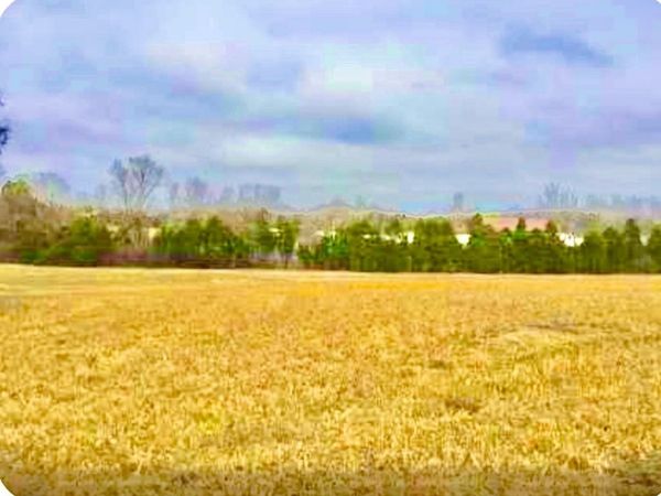 0 N Old Mt Juliet Rd , Mount Juliet, TN 37122