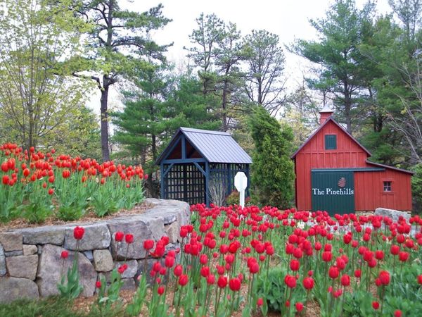 119 Boatwrights Loop, Plymouth, MA 02360