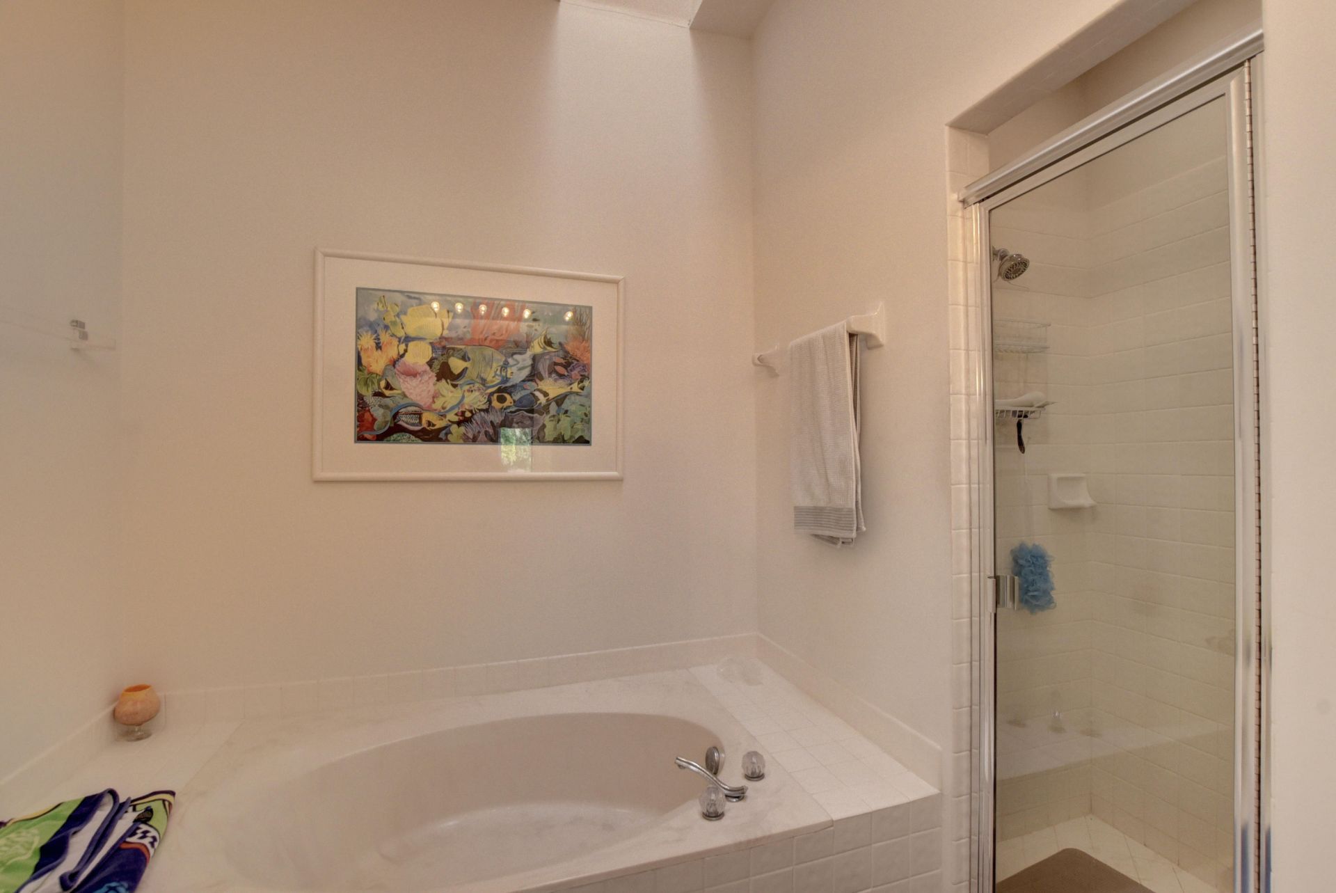 22667 Meridiana Drive, Boca Raton, FL 33433 Photo