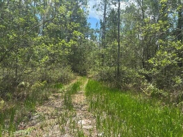 0 Water Road, Clermont, FL 33868