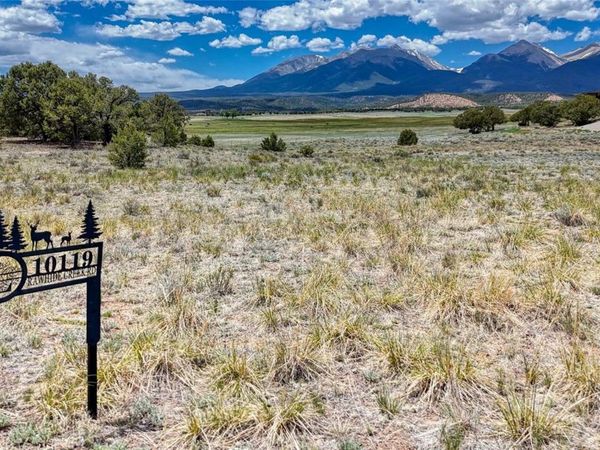 10119 Rawhide Creek Road , Nathrop, CO 81236