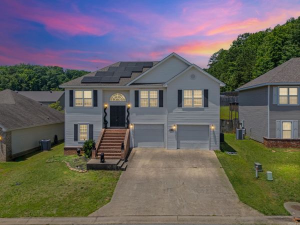 1007 Clinton Court, Alexander, AR 72002