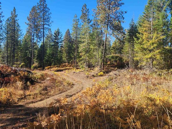 43xx Lyons Hill Rd, Springdale, WA 99173