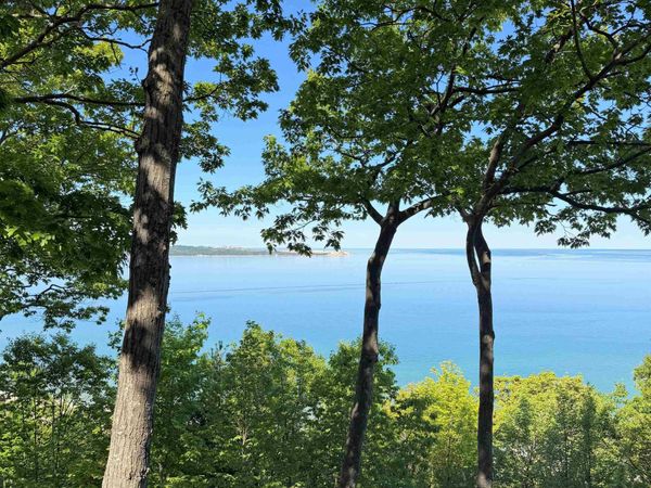9 Ridge Top, Glen Arbor, MI 49636