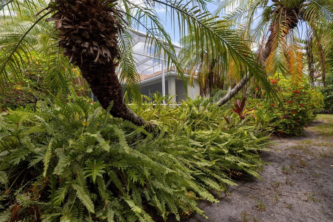6171 Palomino Circle, Bradenton, FL 34201 Photo