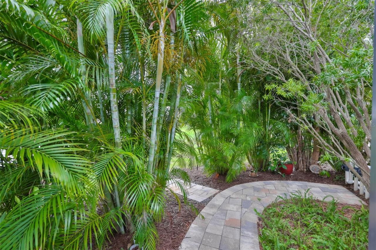 5305 Moon Shell Drive , Apollo Beach, FL 33572 Photo