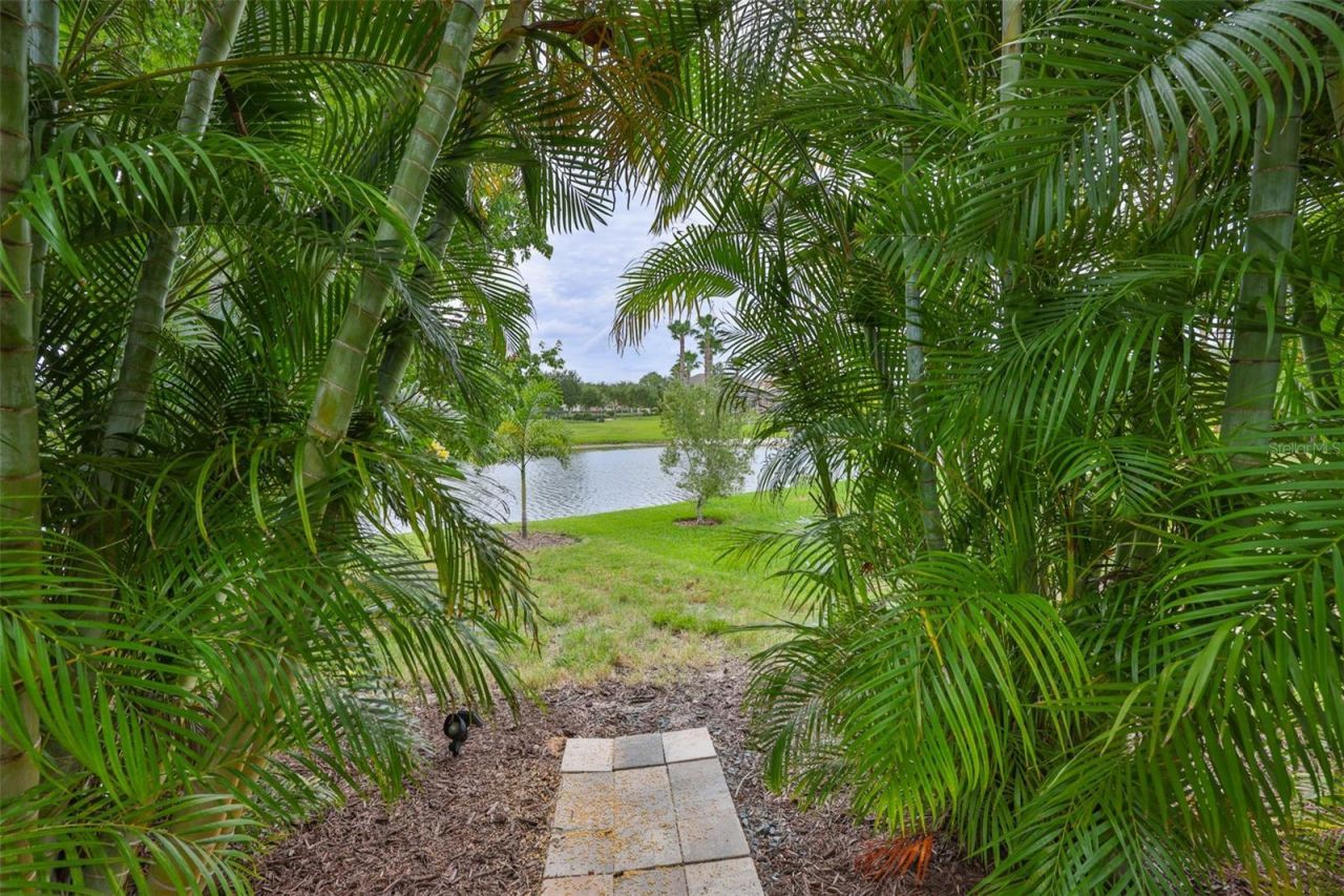 5305 Moon Shell Drive , Apollo Beach, FL 33572 Photo