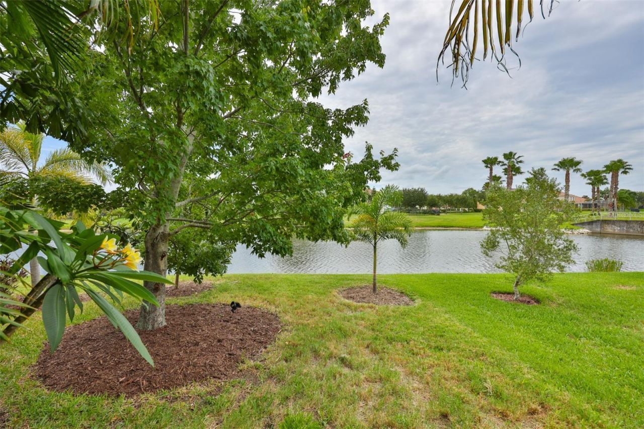 5305 Moon Shell Drive , Apollo Beach, FL 33572 Photo