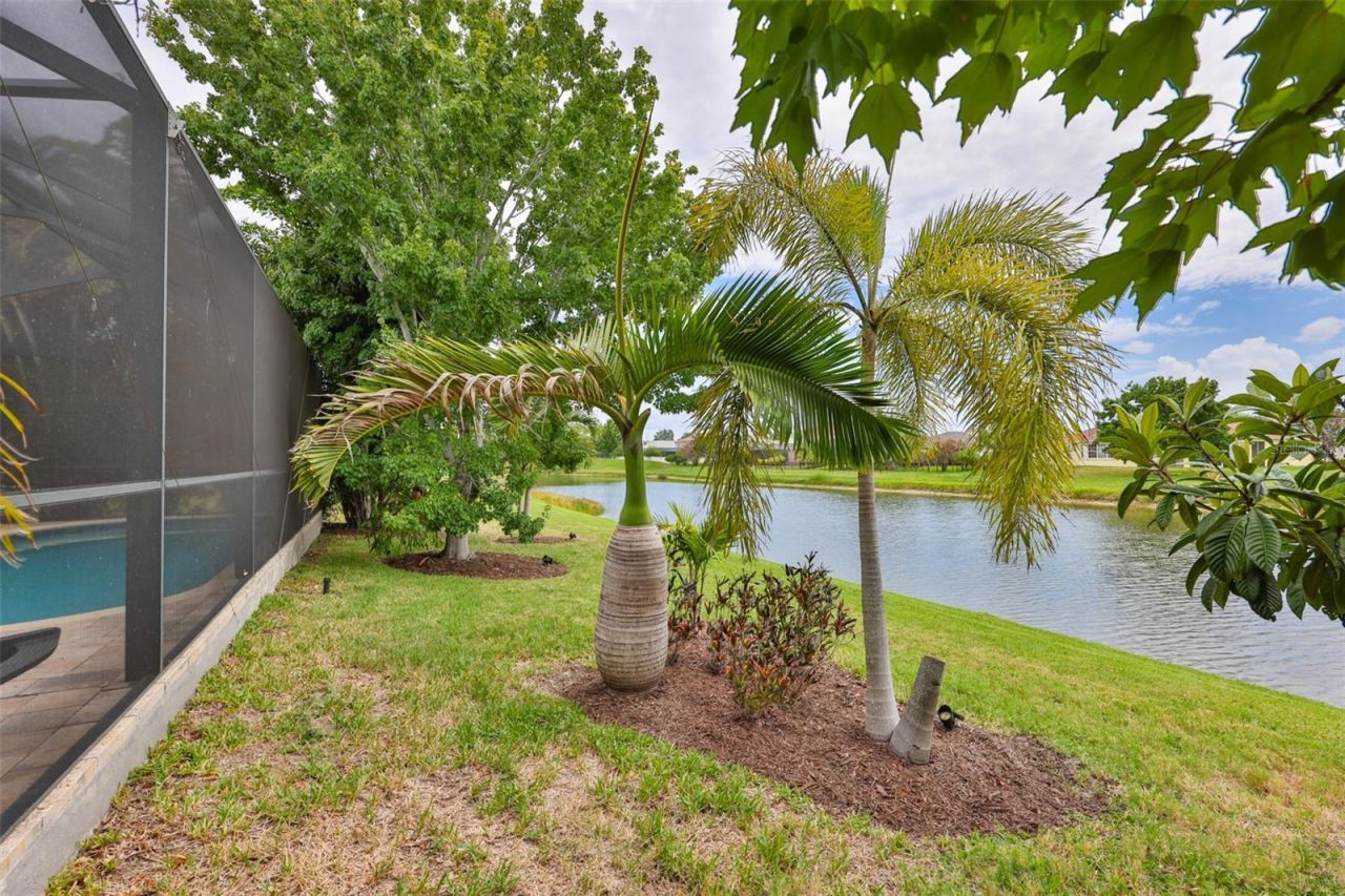 5305 Moon Shell Drive , Apollo Beach, FL 33572 Photo