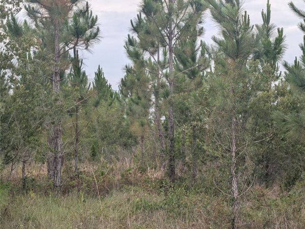 221 TROPICANA DRIVE, INDIAN LAKE ESTATES, FL 33855
