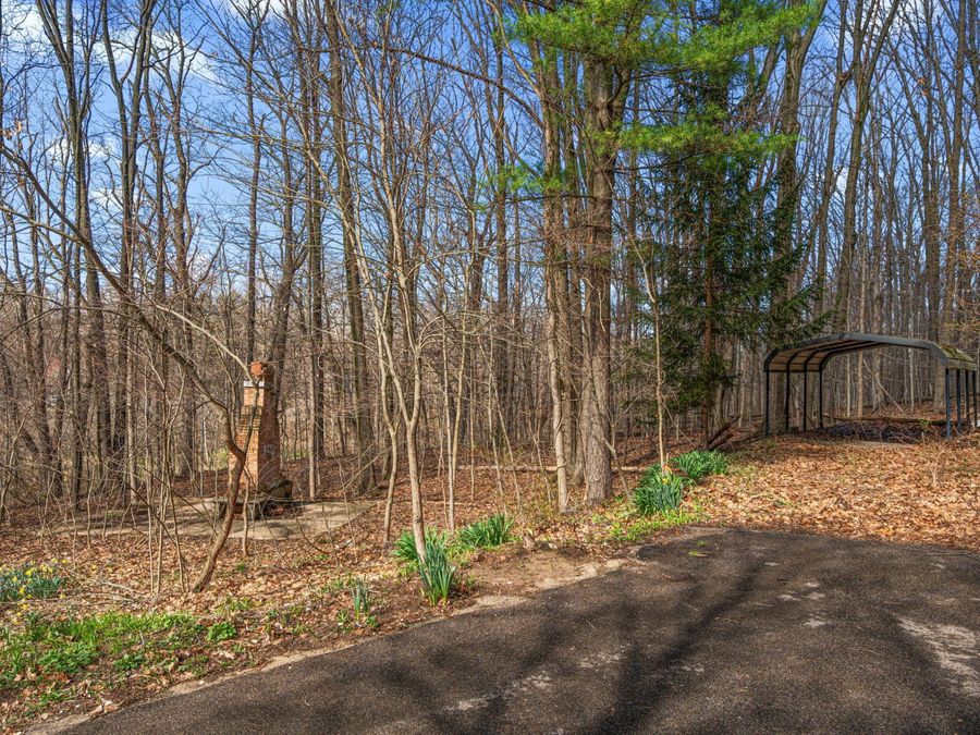 Property Image 48