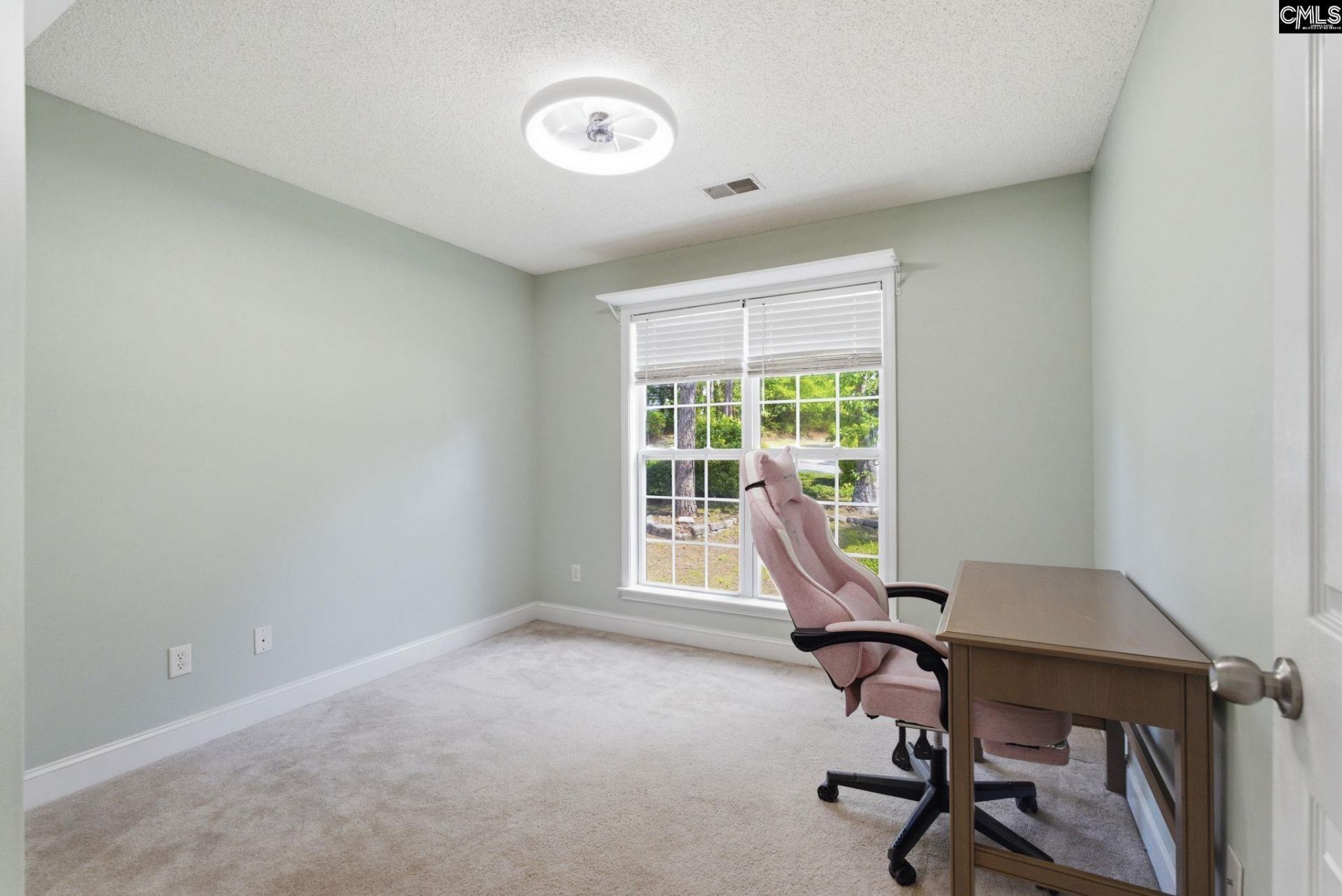 6 Woodlands Ridge Ct  Photo 34