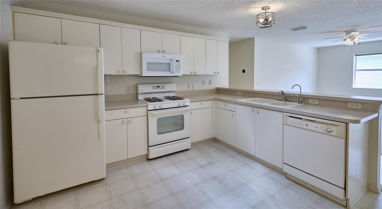 2331 Riley Road, The Villages, FL 32162 Photo